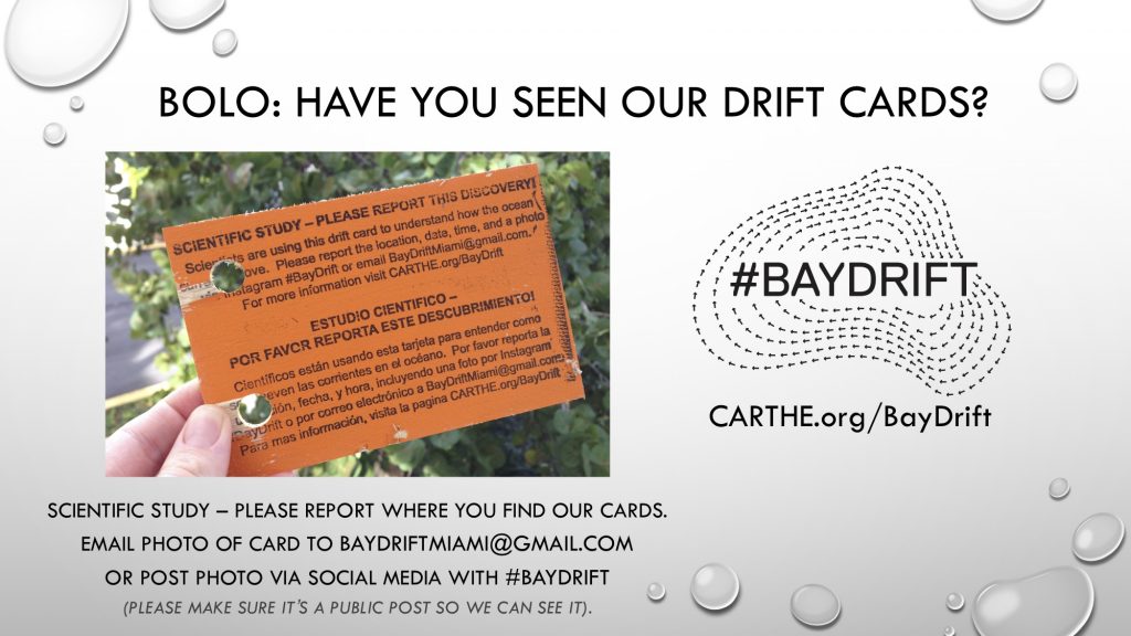 Baydrift bolo flyer