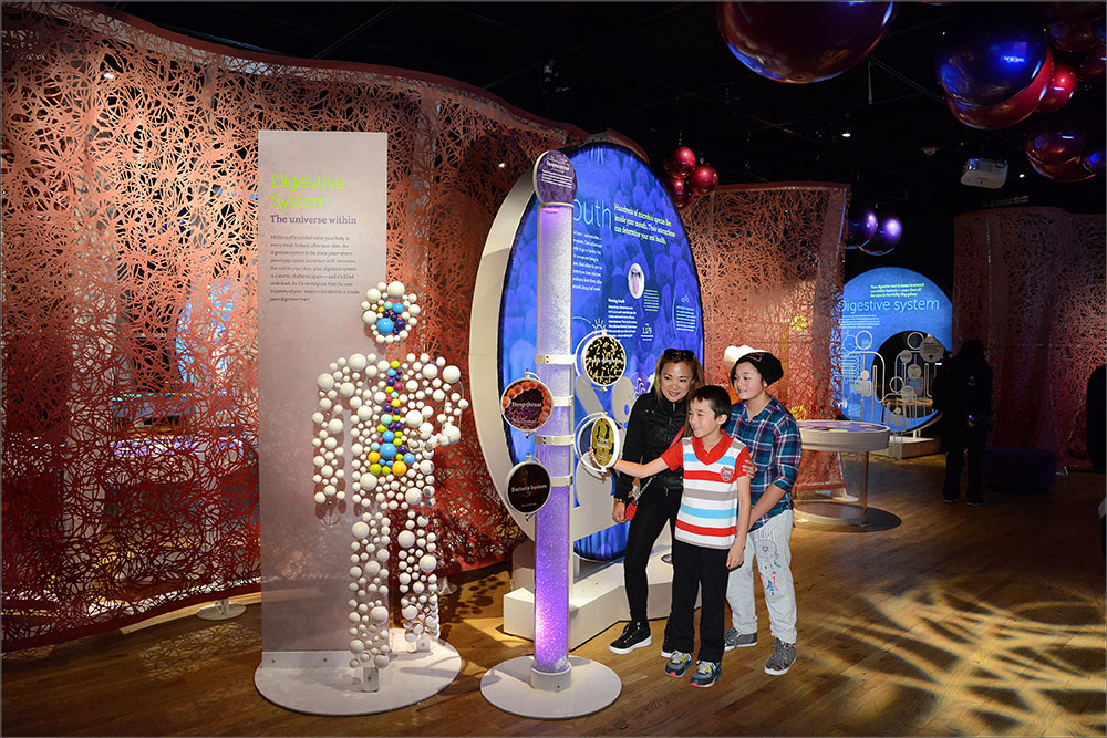 Family exploring "Secret World Inside You" exhibit at Frost Science museum.