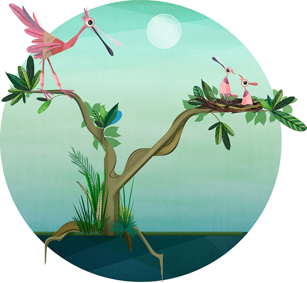 An illustration of an adult Roseate Spoonbill and two offspring in a tree.