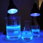 Beakers under black light