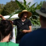 YP Gardening