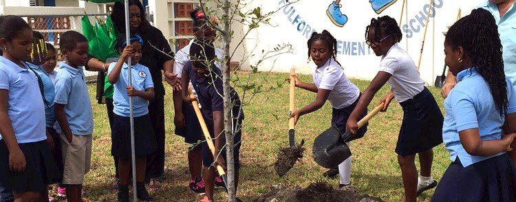 Students at Fulford Elementary School in North Miami Beach plant a tree that will add shade and wildlife to their campus.