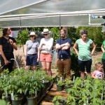 Guests learning how to care for their new plants at the gardening workshop.