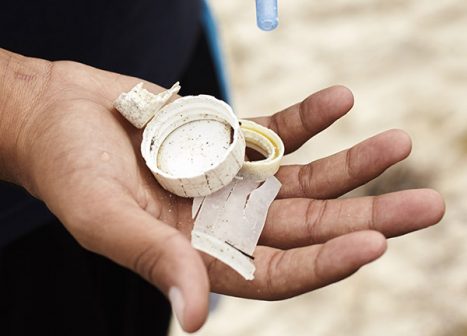 Collection of litter from a beach