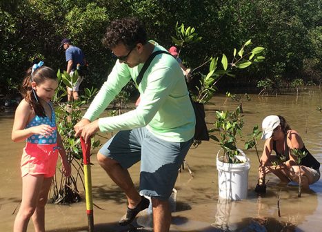 Teenagers and youth volunteers use shovels to plant mangrove propagules in ankle deep water.