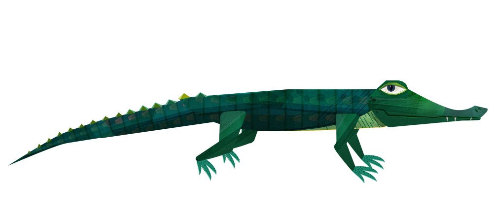 An illustrated Alligator smirks.