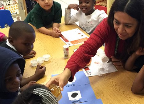 A teacher utlizes the curriculum she learned and brings an experiment back to the children in her classroom.