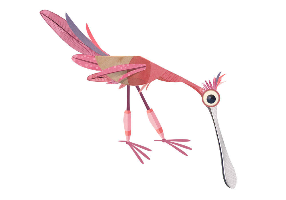 An illustrated Roseate Spoonbill dips down its beak.