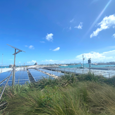 Solar panels on the roof