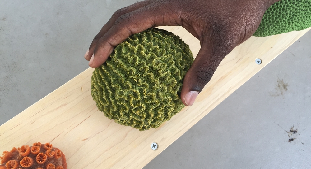 Hands touching a green coral at the 10th Annual All Kids Inclusive event presented by the South Miami-Dade Cultural Arts Center.