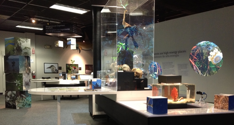 View of the museum exhibit room