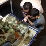 Father and son engaging in the exhibition.