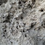 Quarried coral rock