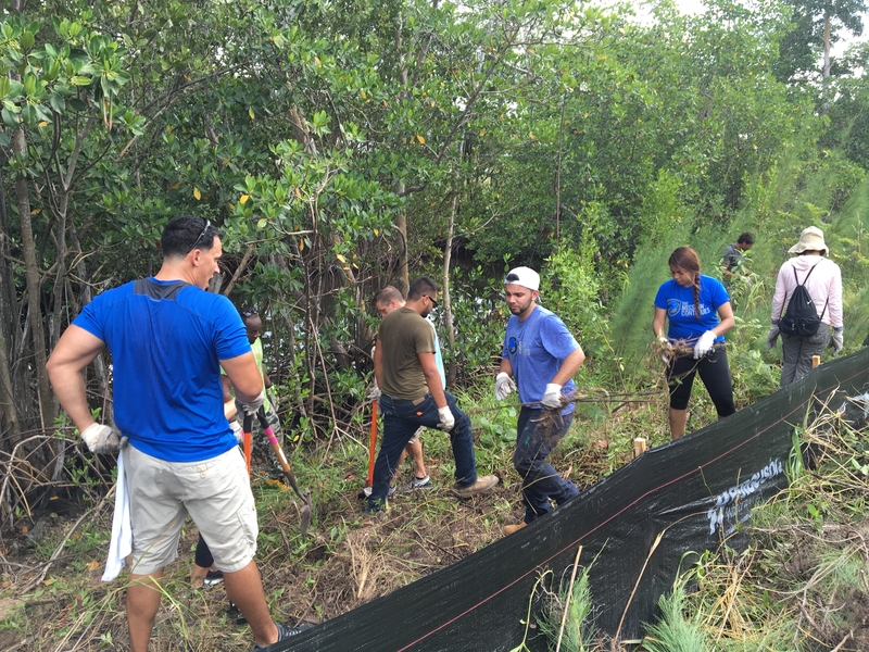 The Mission Continues Group remove invasive plants including Australian Pine and Burma Reed from the restoration site at the Batchelor Environmental Center