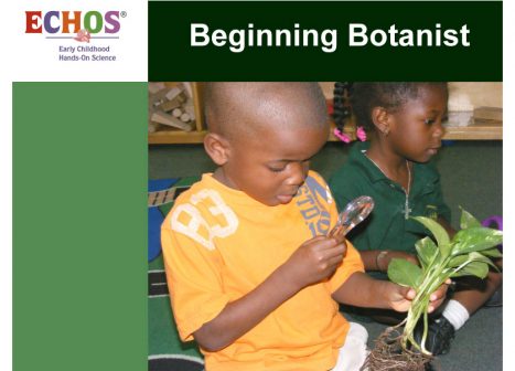 Young boy using magnifying glass on plant