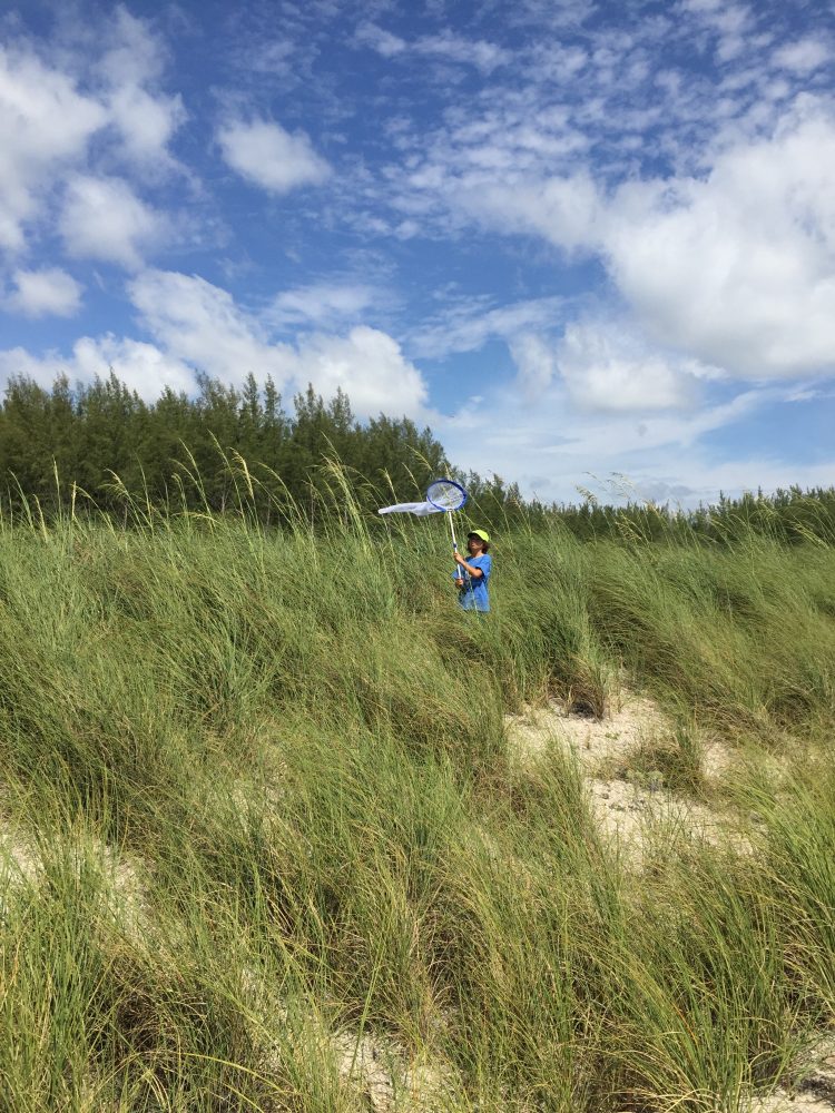 Young boy with a net in the midst of vegetation