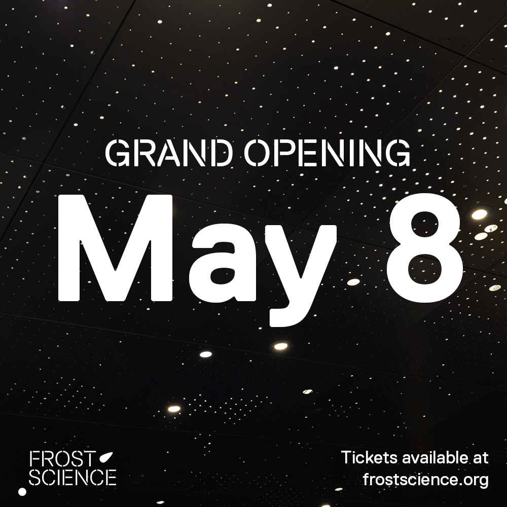 Planetarium Lights grand opening flyer