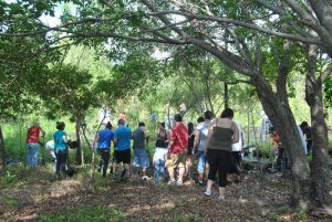 Everyday Citizens: Highland Oaks Cypress Wetland Restoration (May 12, 2012)