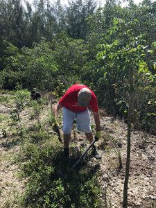 Everyday Citizens: Mangrove Mike
