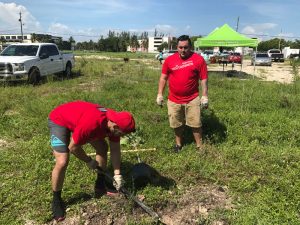 Everyday Citizens: Tree Planting 2