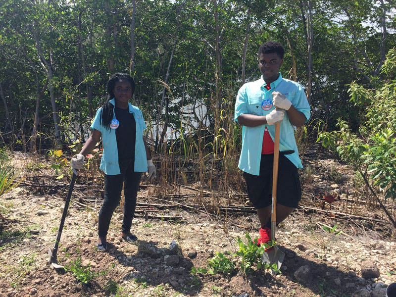 Two young adults planting