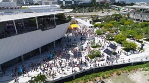 Solar Eclipse Crowd