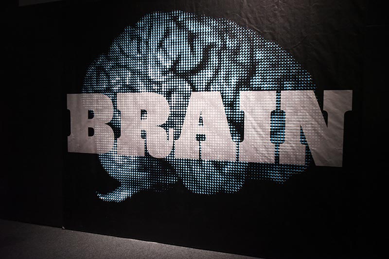 Brain: The Inside Story exhibit sign.