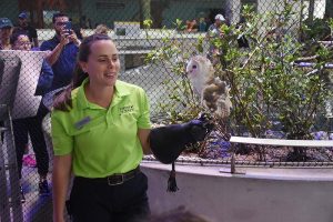 frost-science-owl-encounter