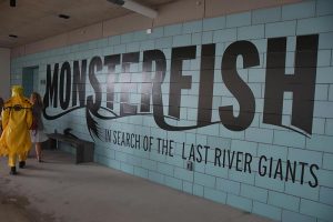 monster-fish-signage