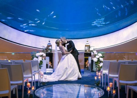 Weddings & Reception Venue In Miami