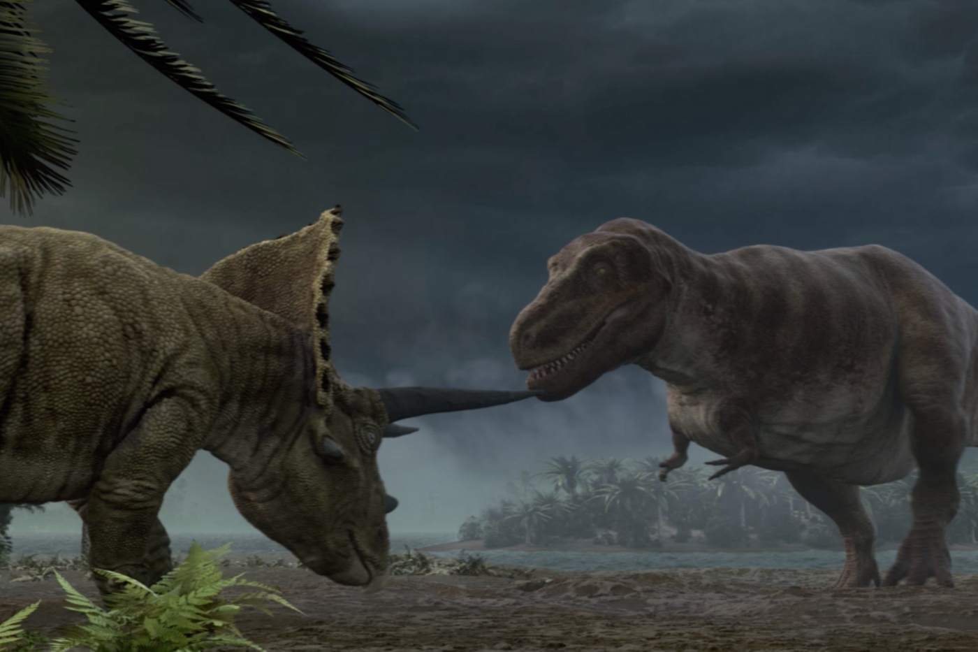 image of dinosaurs