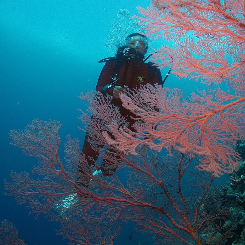 Power of Science Oceans