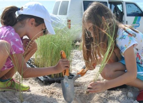 Two children using tools to plant a sea oat.