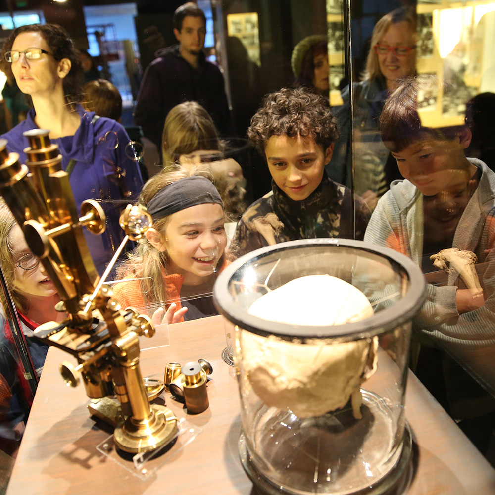 Group of children looking at exhibit in Sherlock Holmes exhibition.