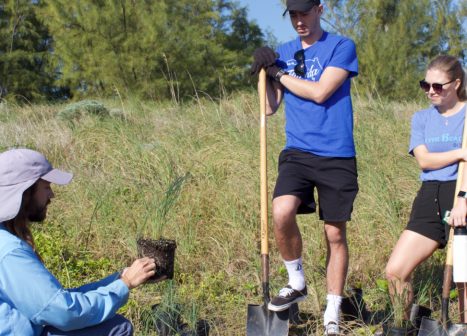 planting at virginia key