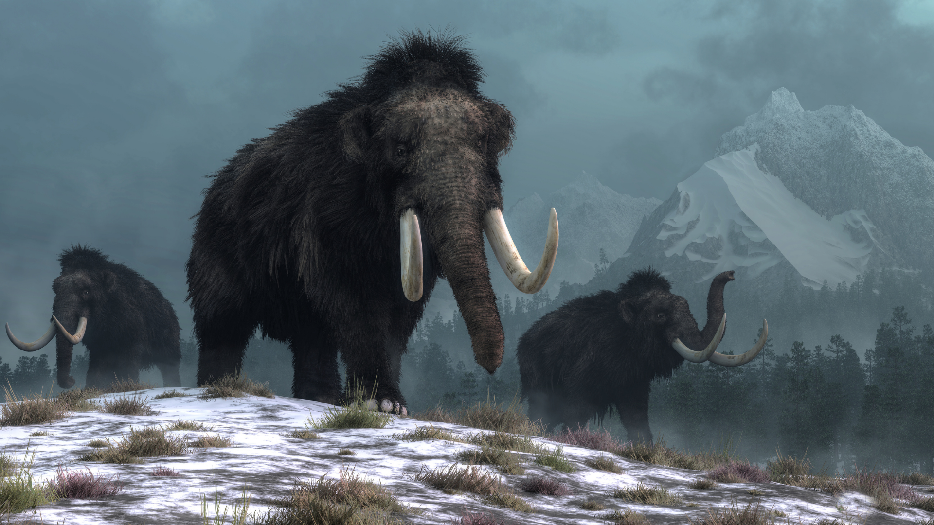 mammoths