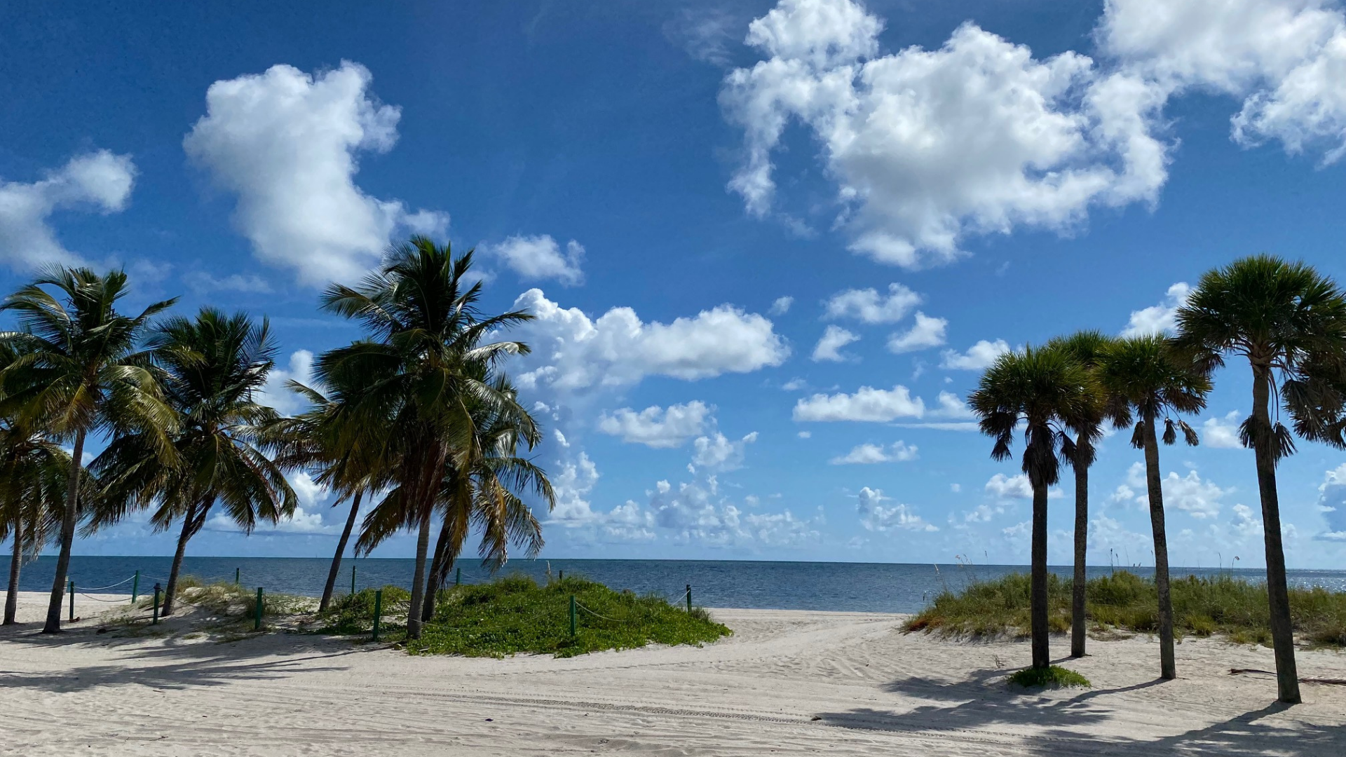 Crandon park