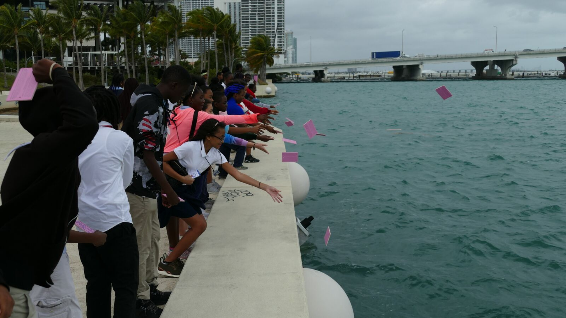 marine debris cards