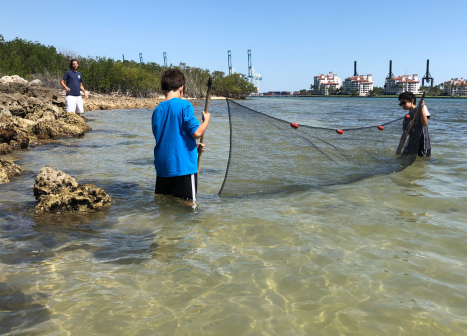 kids with net in the water