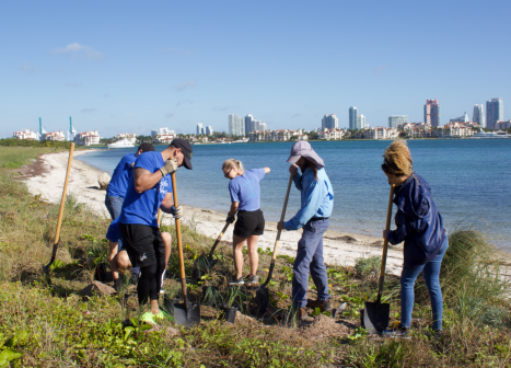 virginia key restoration