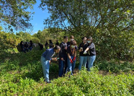 students at virginia key