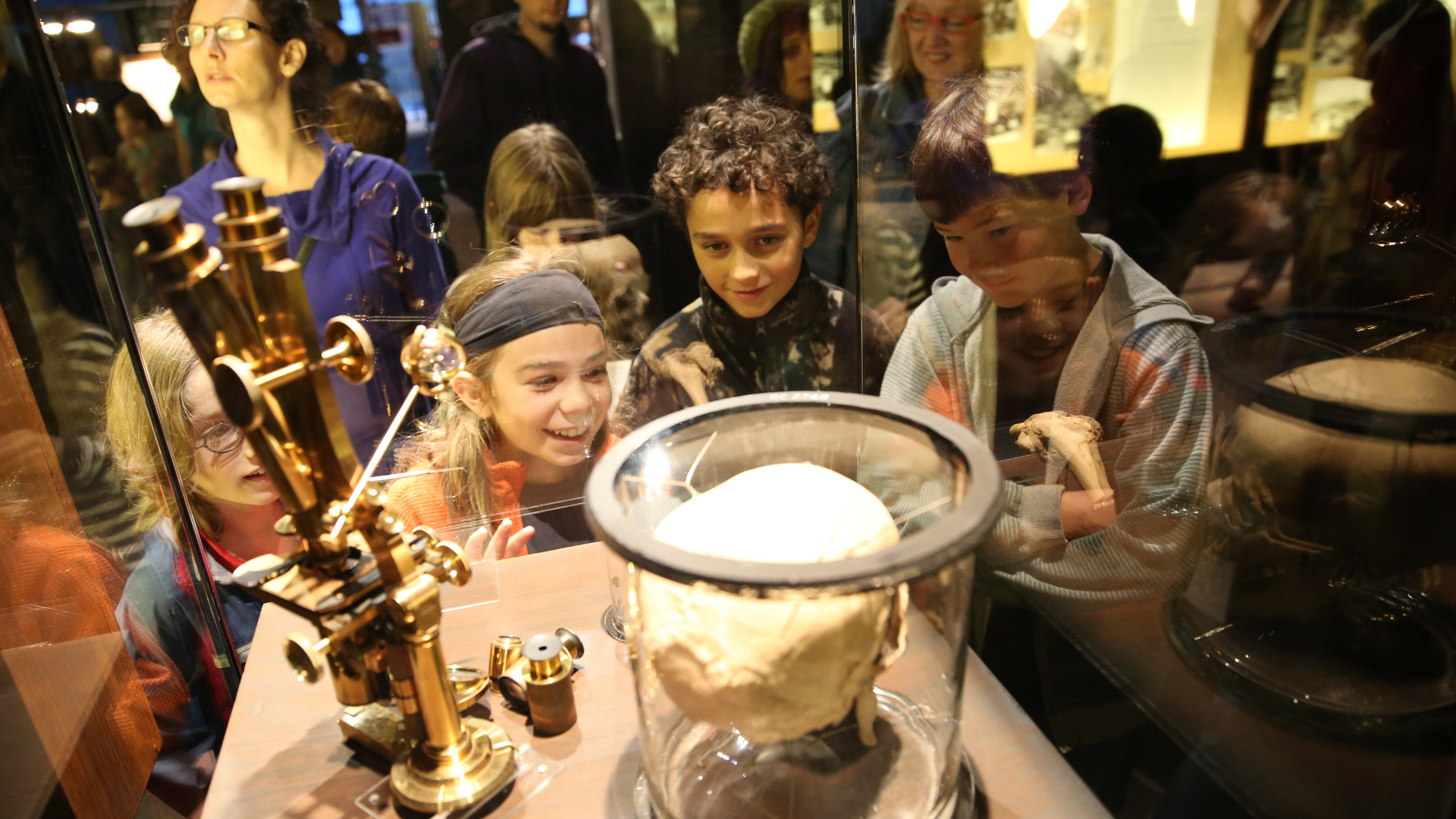 children looking at an item in the exhibition