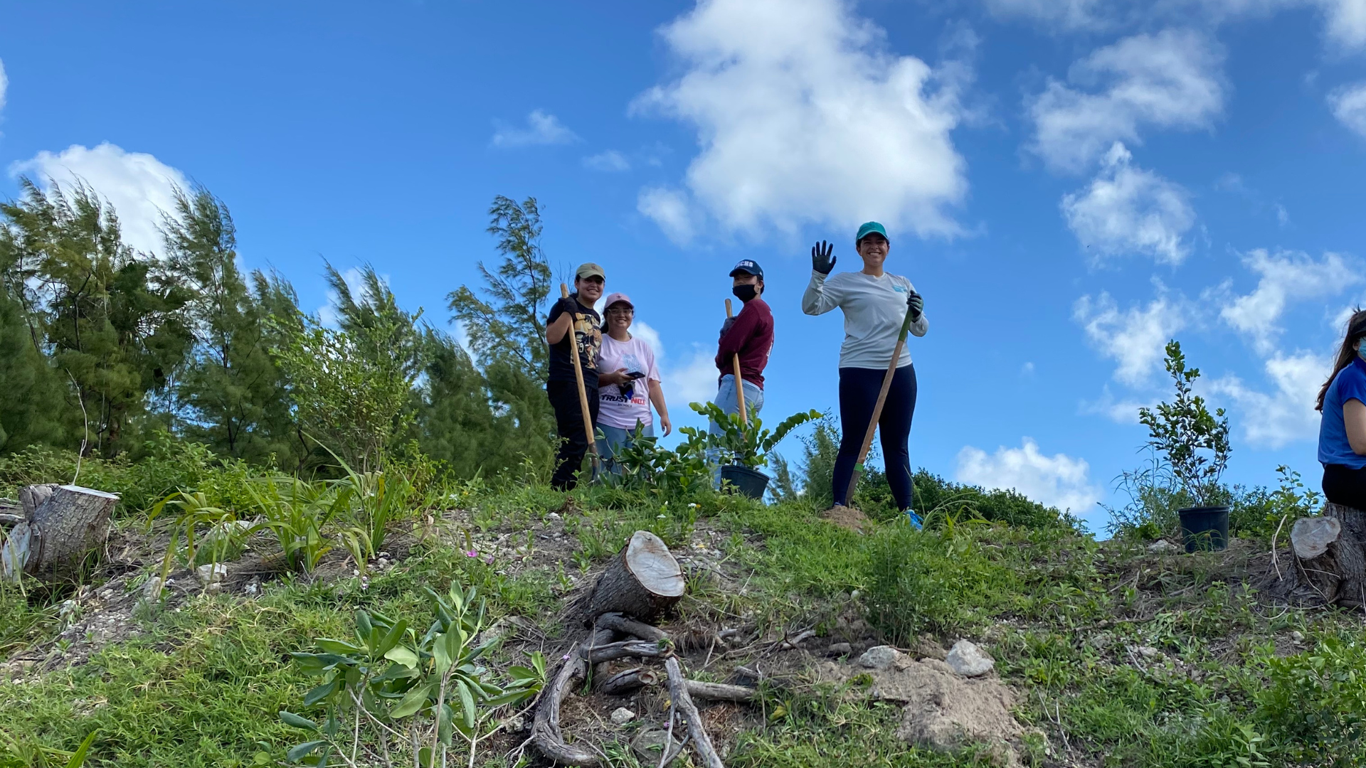 volunteers planting