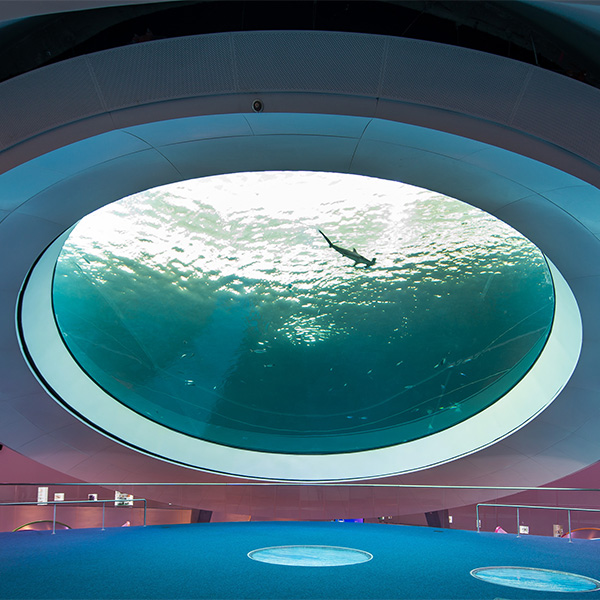Photo of Frost Science Gulf Stream Aquarium Oculus.