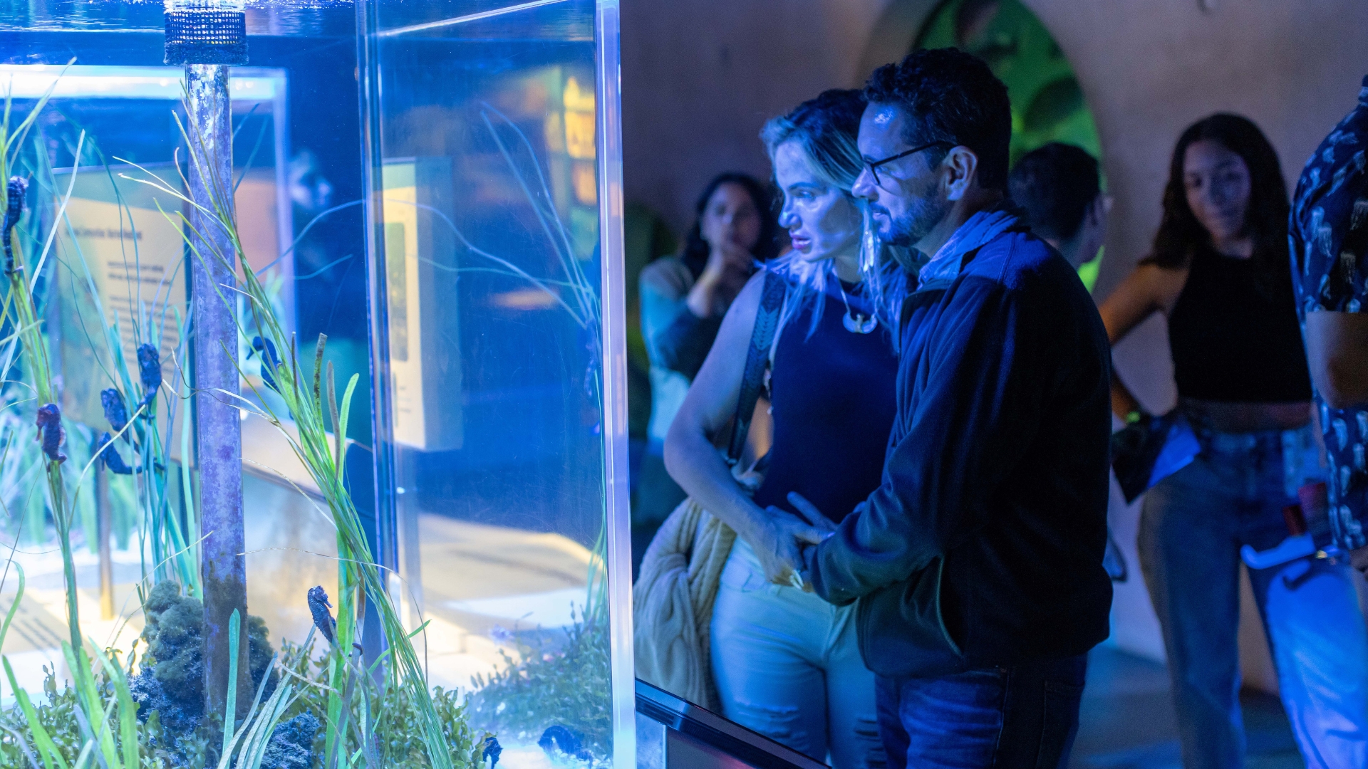 10nightLAB July 2024 gallery images
