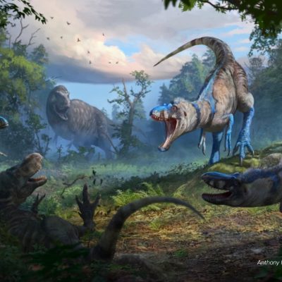 illustration of dinosars in a jungle