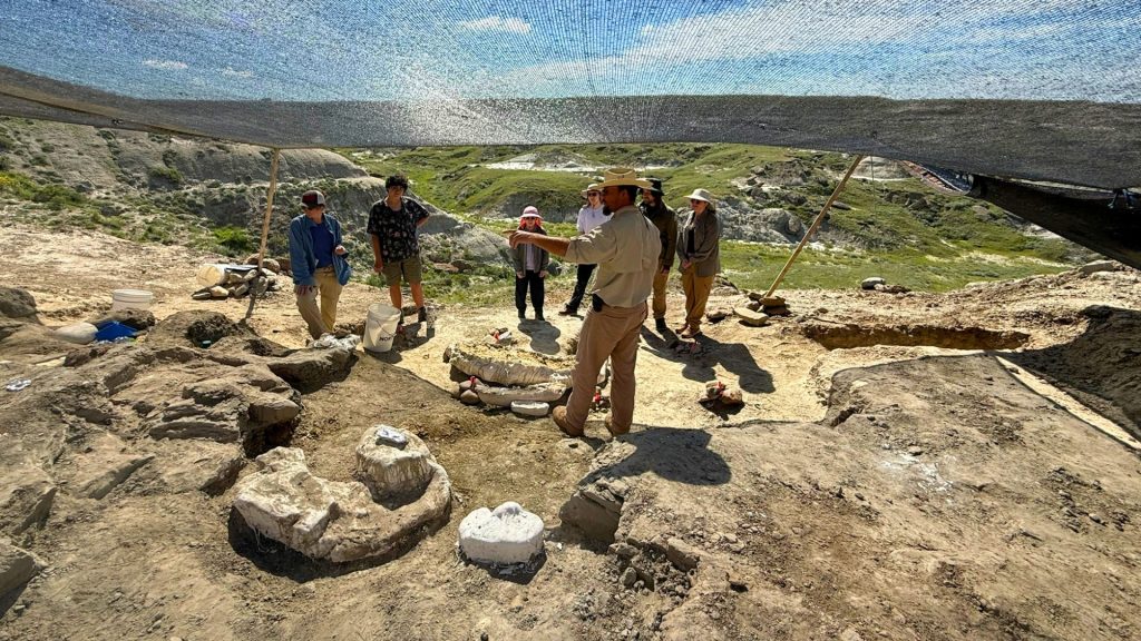 Digging Deeper: Digging Expeditions Open to the Public - Frost Science