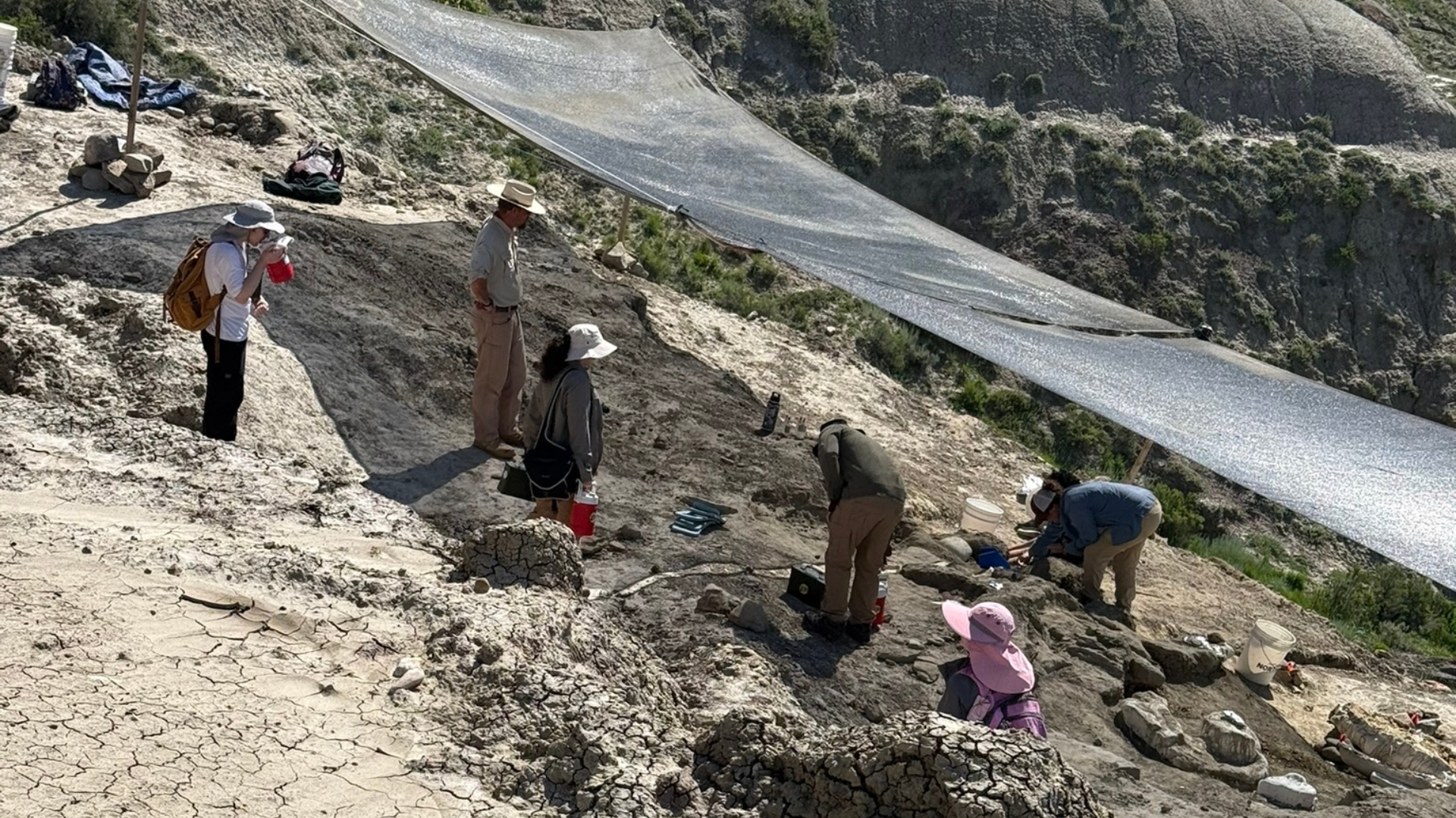 Frost Science Digging Expeditions July 2026 - August Science Story Images2 Frost Science Digging Expeditions July 2026 - August Science Story Images2