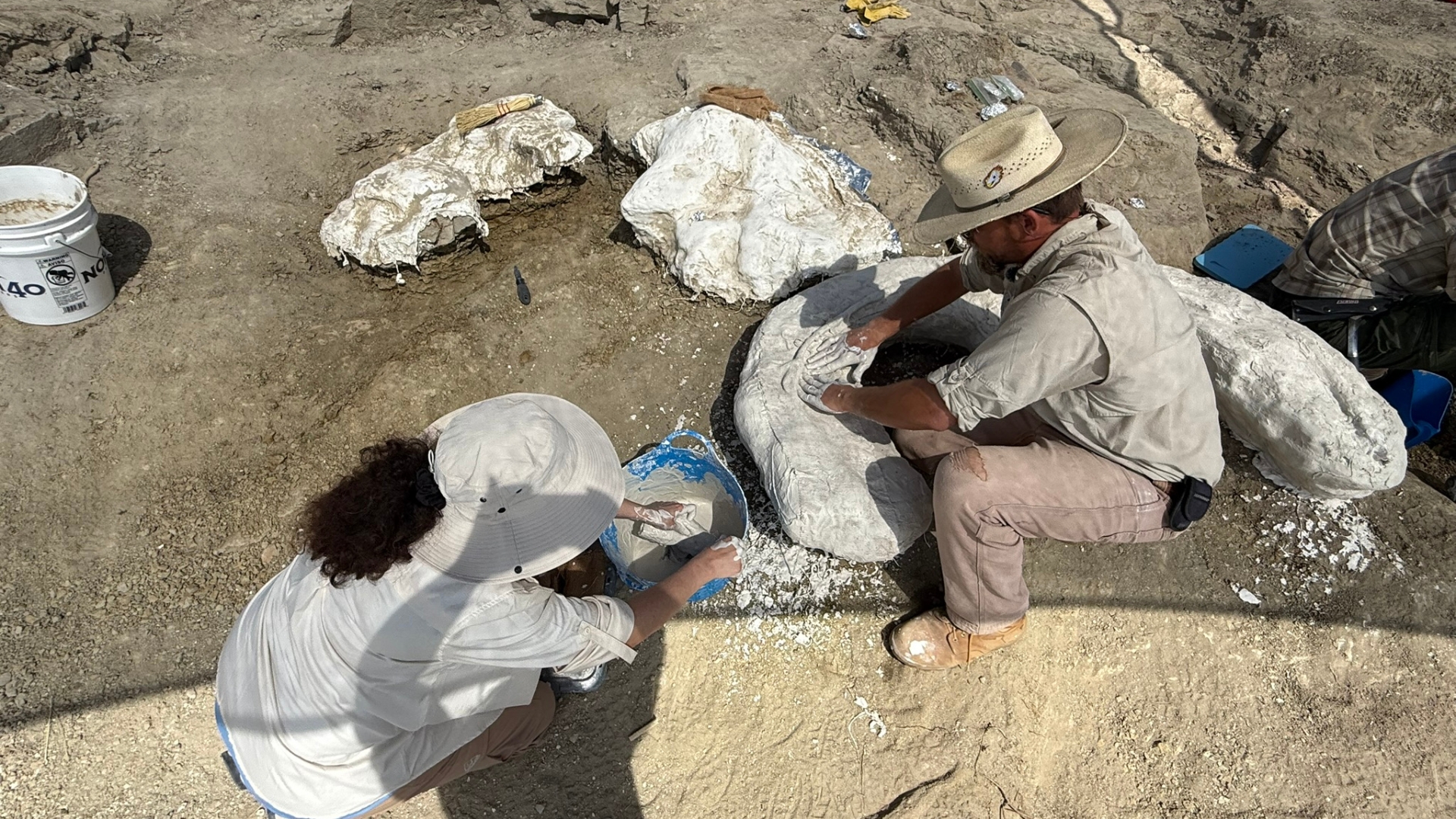Frost Science Digging Expeditions July 2026 - August Science Story Images3 Frost Science Digging Expeditions July 2026 - August Science Story Images3