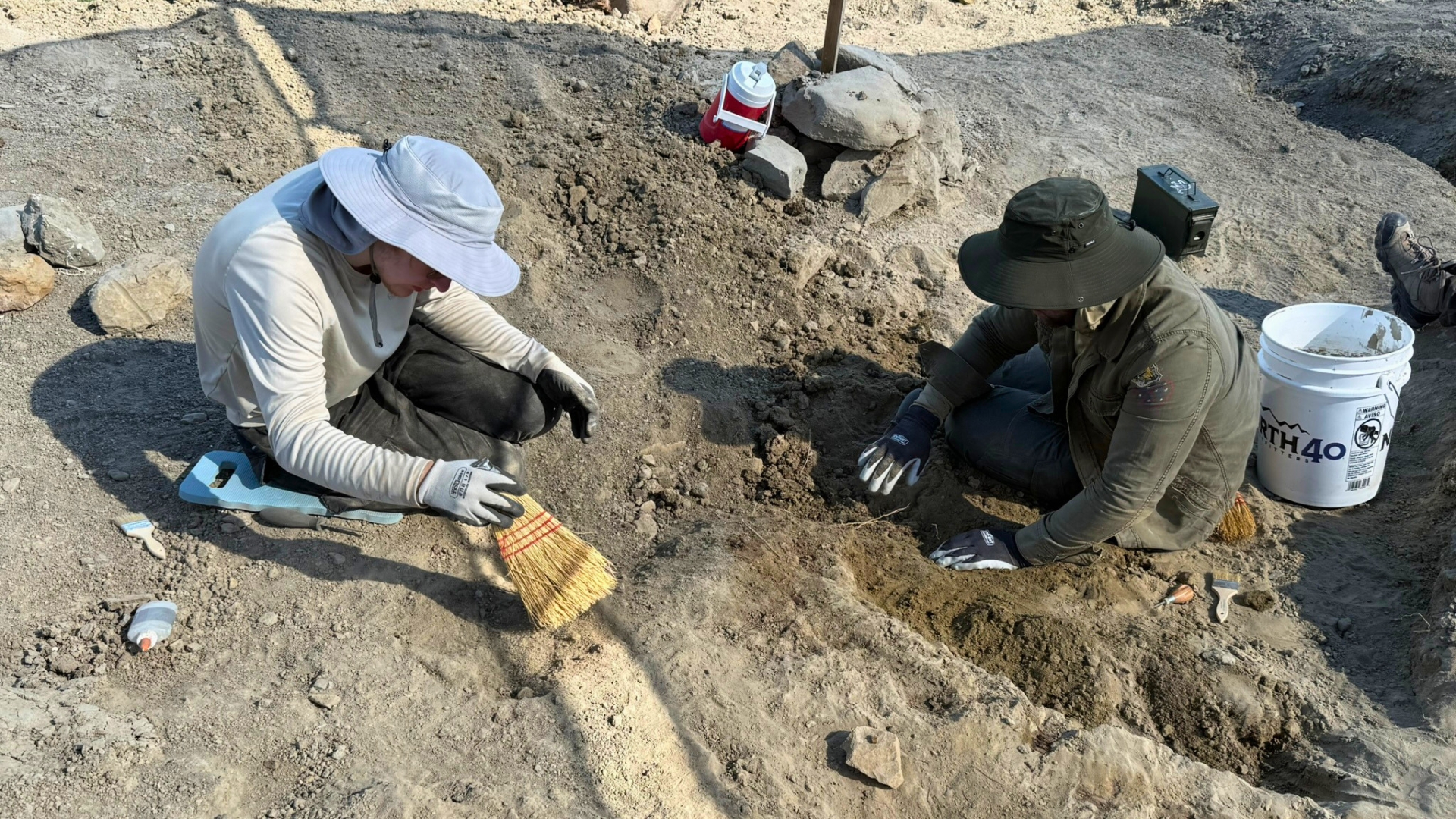 Frost Science Digging Expeditions July 2026 - August Science Story Images4 Frost Science Digging Expeditions July 2026 - August Science Story Images4
